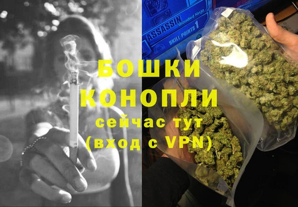 Альфа ПВП Аркадак