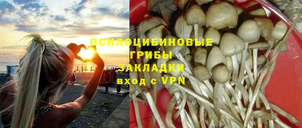 Альфа ПВП Аркадак