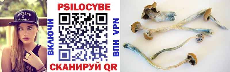 Псилоцибиновые грибы Psilocybine cubensis  Тимашёвск 